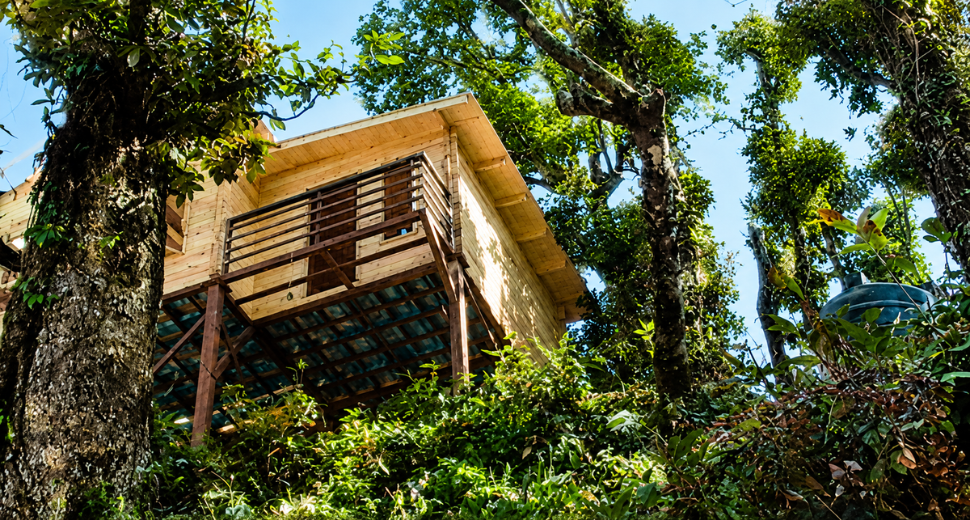Prefab Wooden House